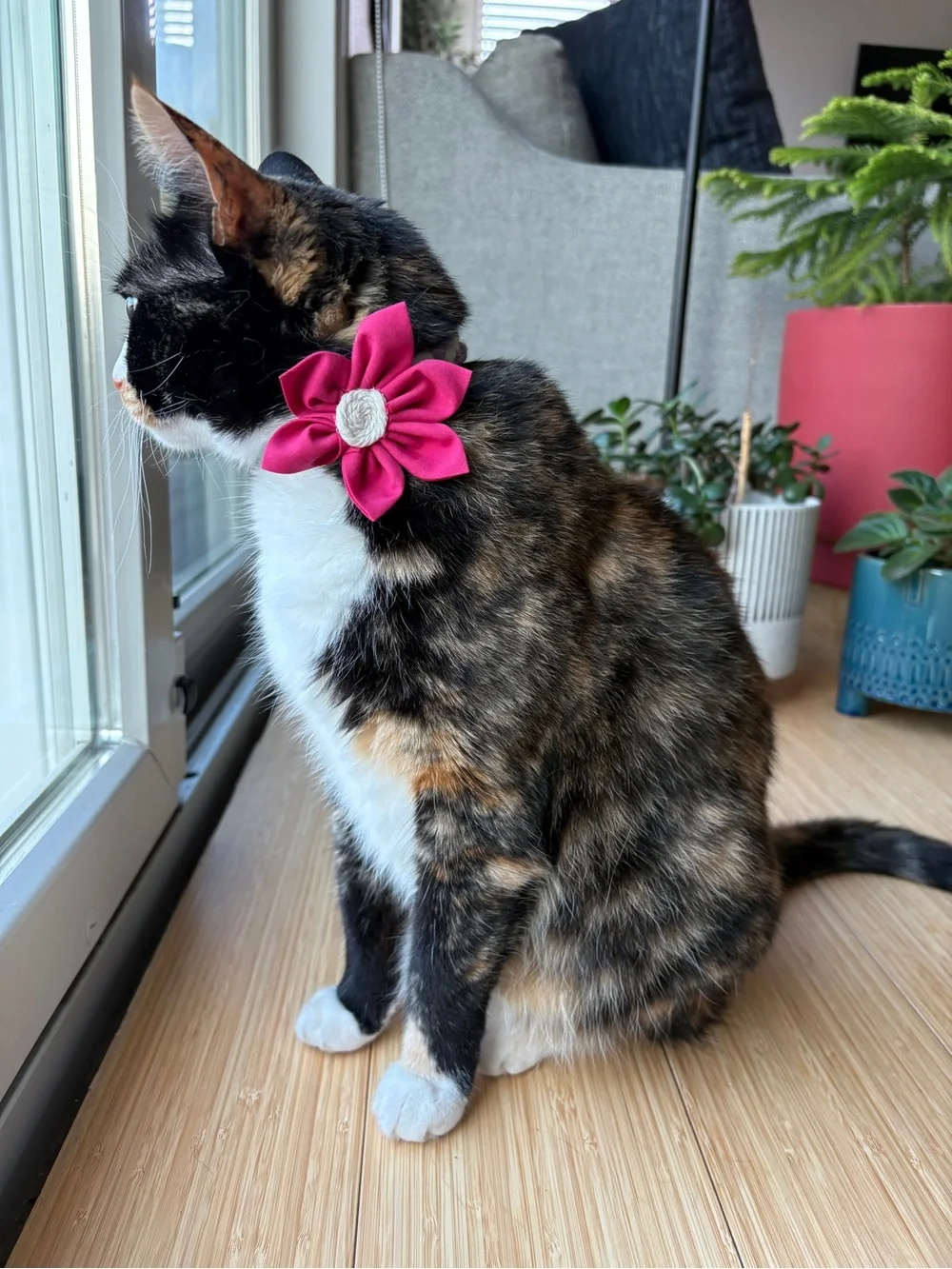 Handmade by Zink & Dot- Removable Pet Collar Floral Accessory